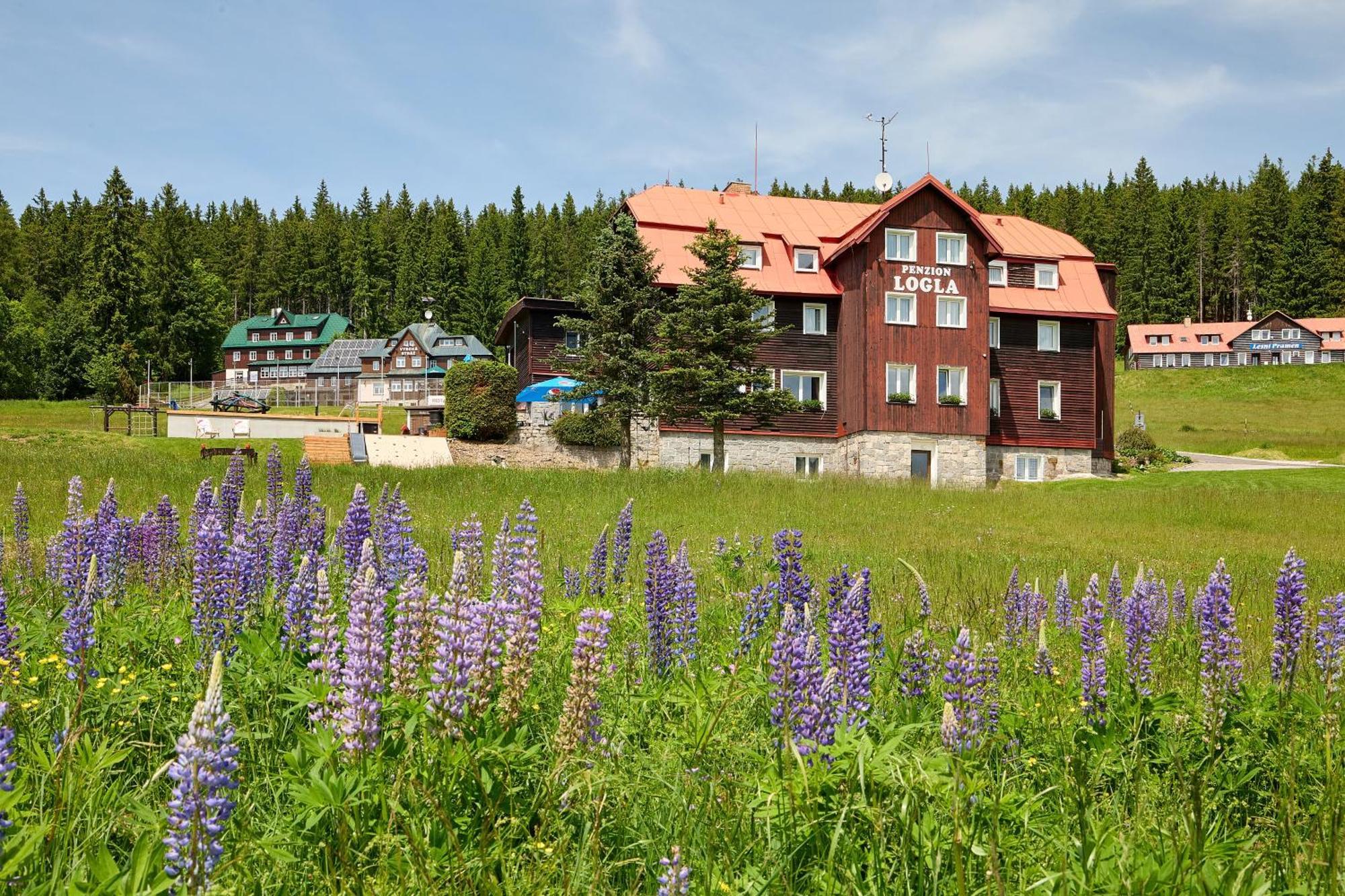 Hotel Logla Pec pod Snezkou